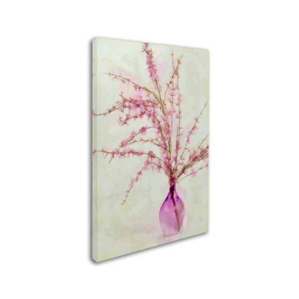 Cora Niele 'Pink Broom In Glass' Canvas Art,30x47